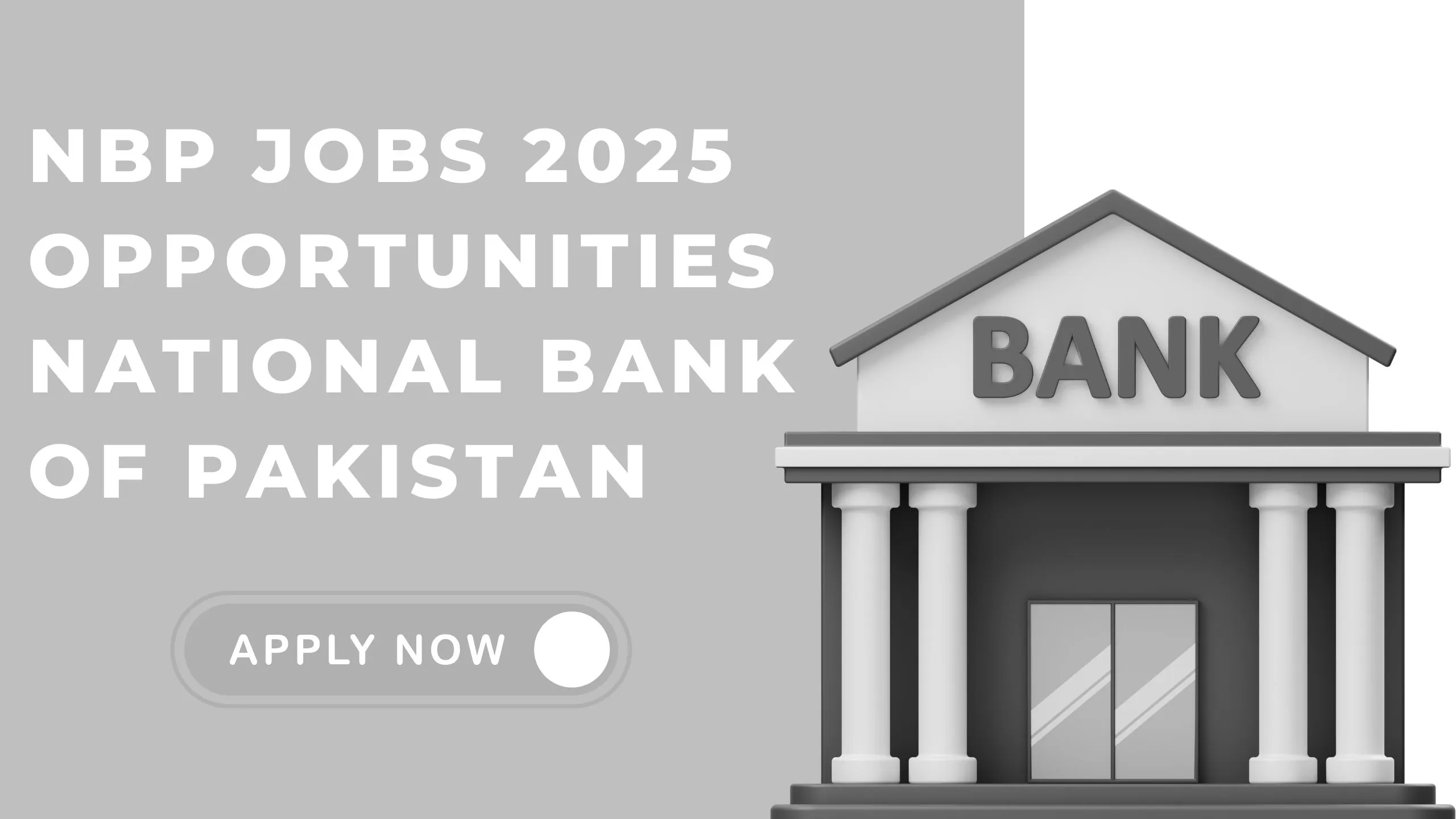 NBP Jobs