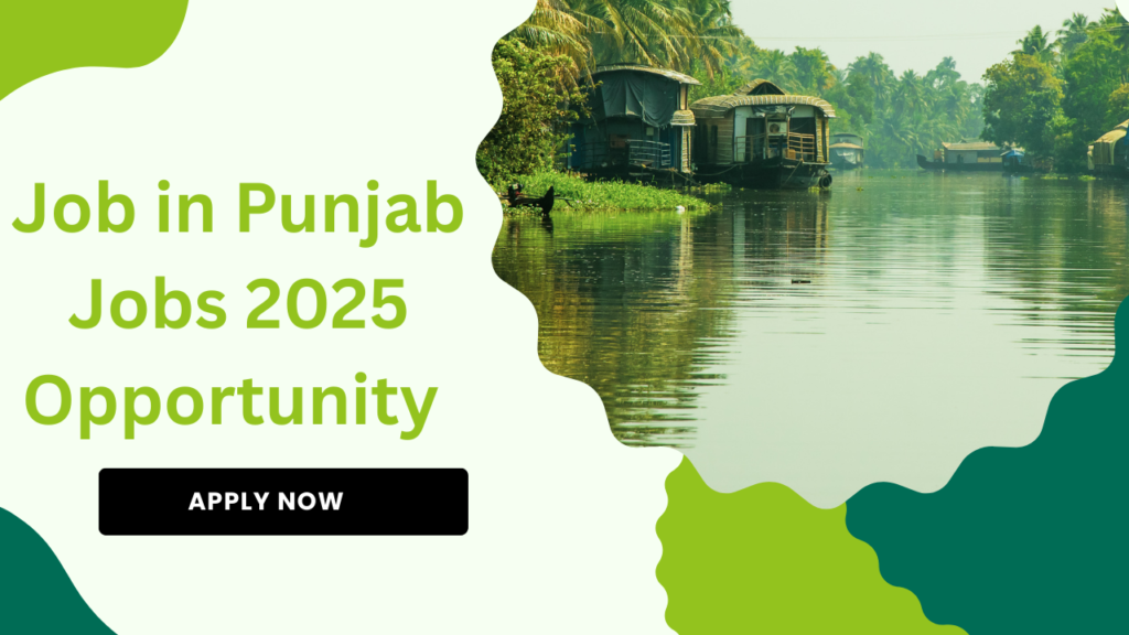 in Punjab Jobs